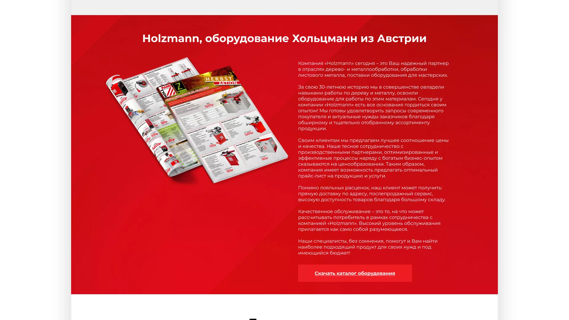 Создание сайта компании «HOLZMANN Maschinen GmbH» в Мурашах