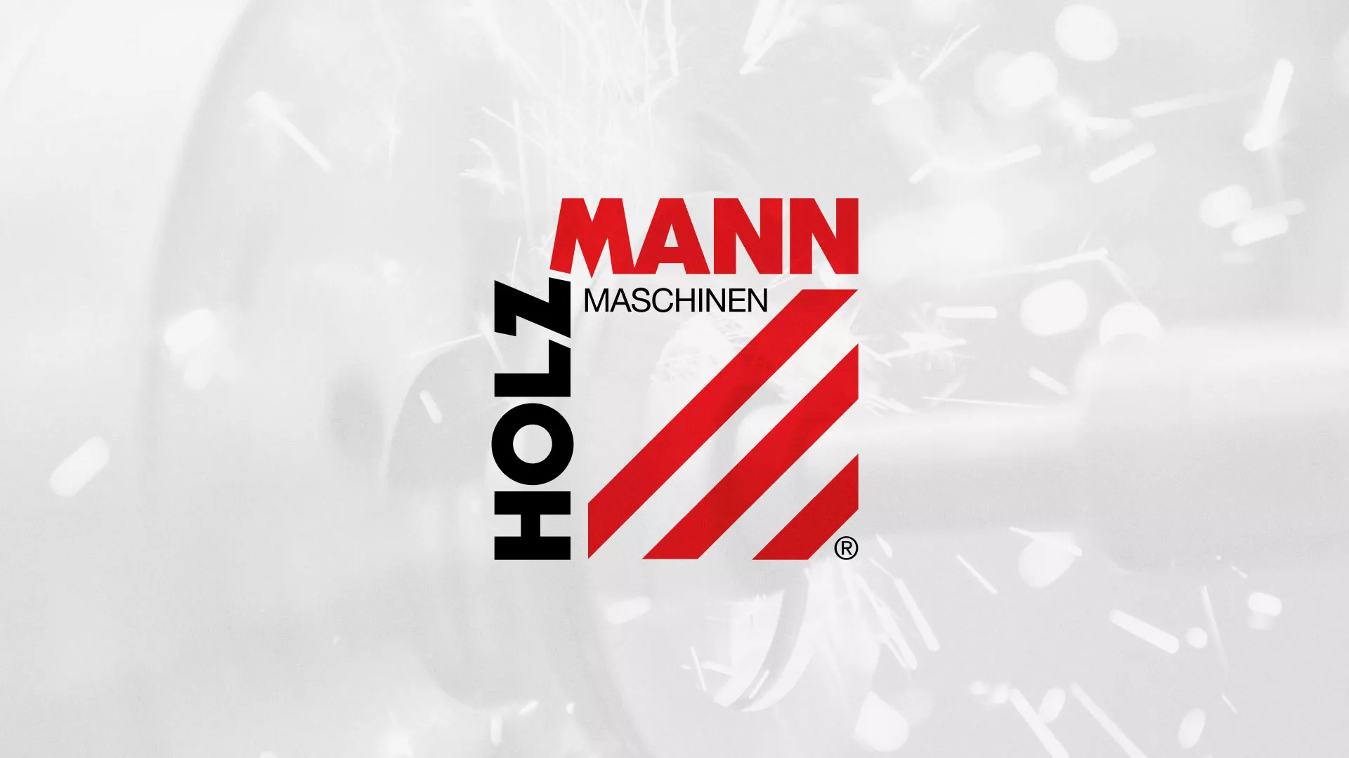 Создание сайта компании «HOLZMANN Maschinen GmbH» в Мурашах