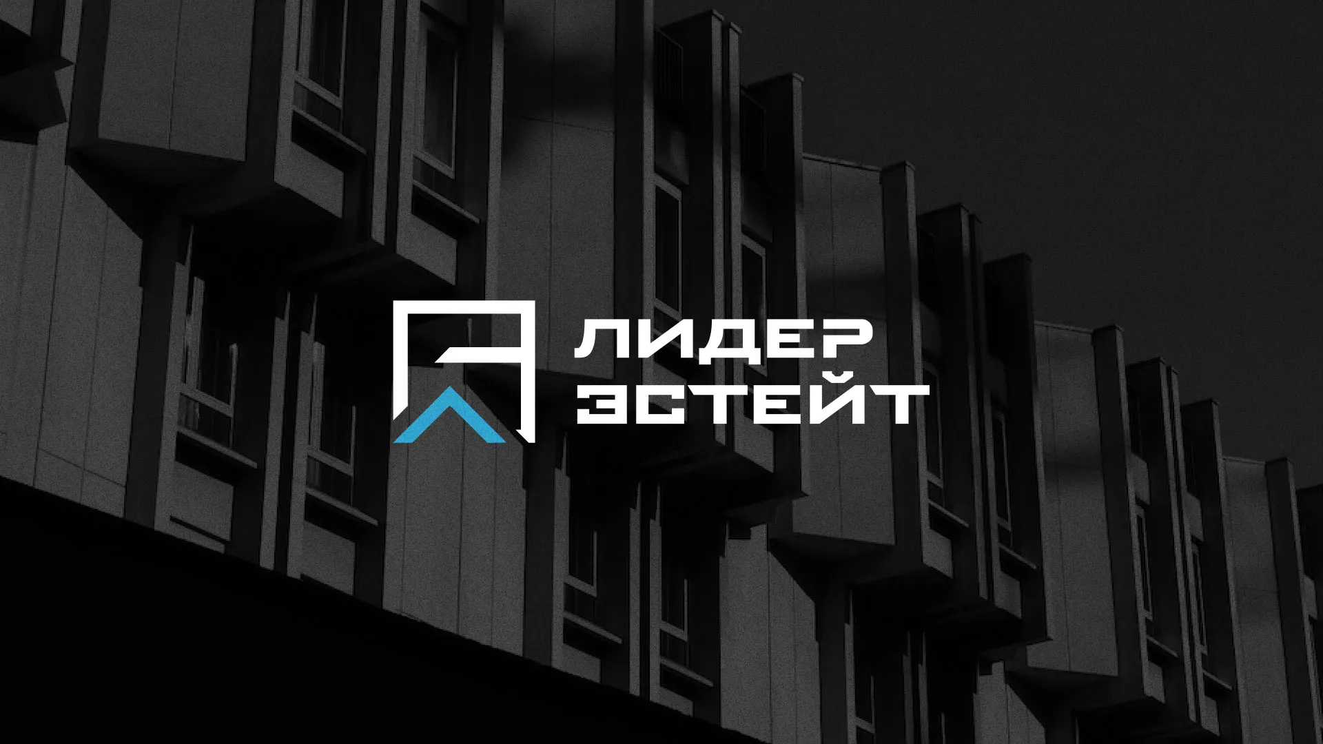 Разработка логотипа агентства недвижимости «Лидер Эстейт» в Мурашах